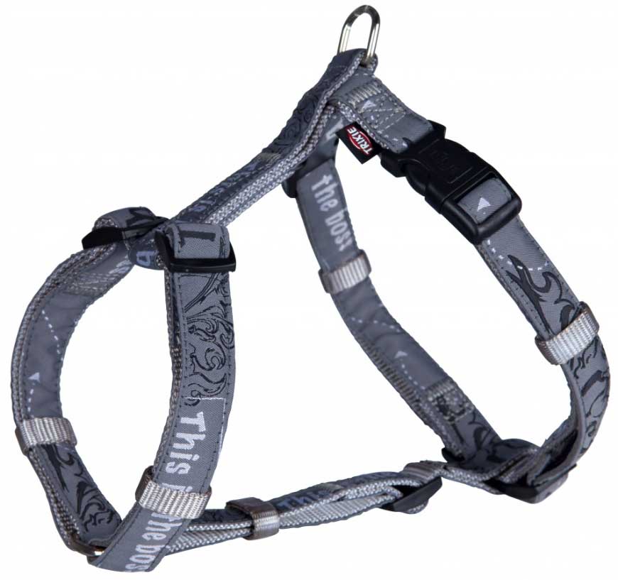 This is the Boss Am za pse H - oblik veličina XS-S Trixie Modern Art grey 15752
