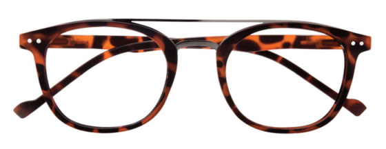 Prontoleggo naočare za čitanje sa dioptrijom +2,50 BRIDGE, braon