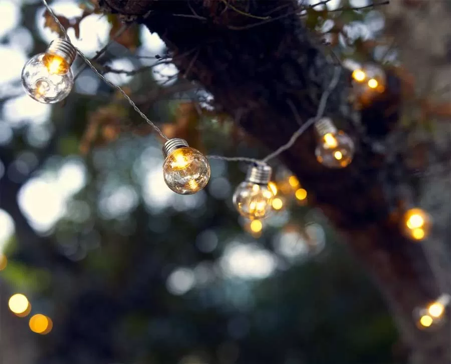 Niz od 50 LED Sijalica Za spoljnu upotrebu 14,85m Transparent