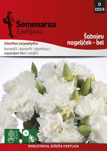 Seme za Karanfil šabo - beli - Dianthus caryophyllus 3225/6