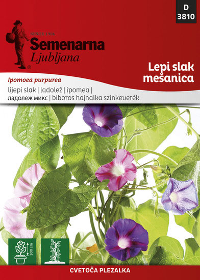 Seme za cveće Ladolež - mešavina - Ipomoea purpurea 3810