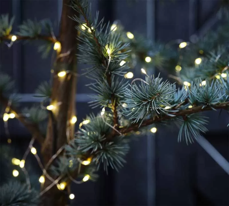 Dekorativne lampice na baterije 80 LED Tirquit