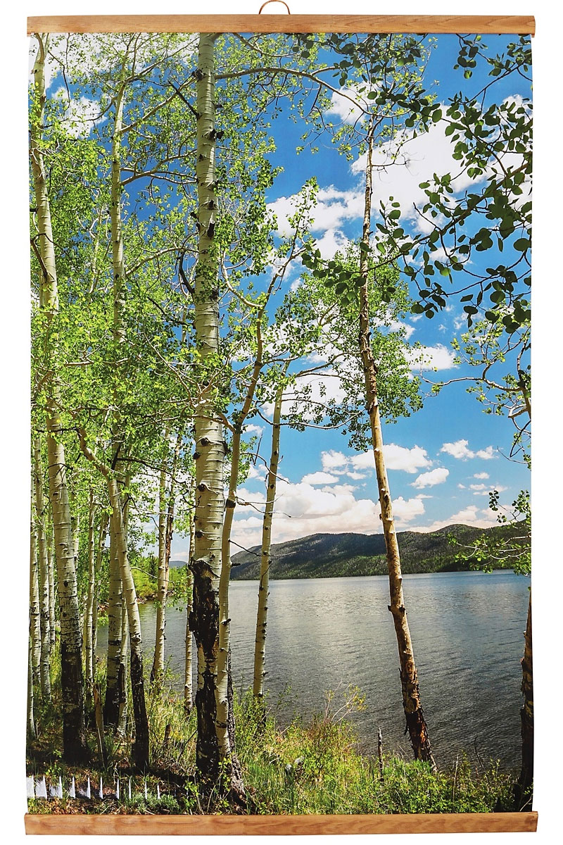 Zidna Poster Grejalica Breze 500W 105x60 cm