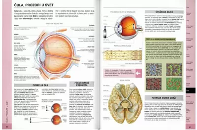 Školski fiziološki atlas