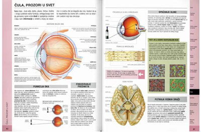 Školski fiziološki atlas
