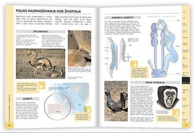 Školski biološki atlas - Image 1