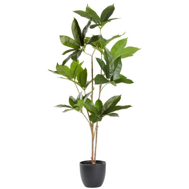 Veštačka biljka Šeflera 90cm