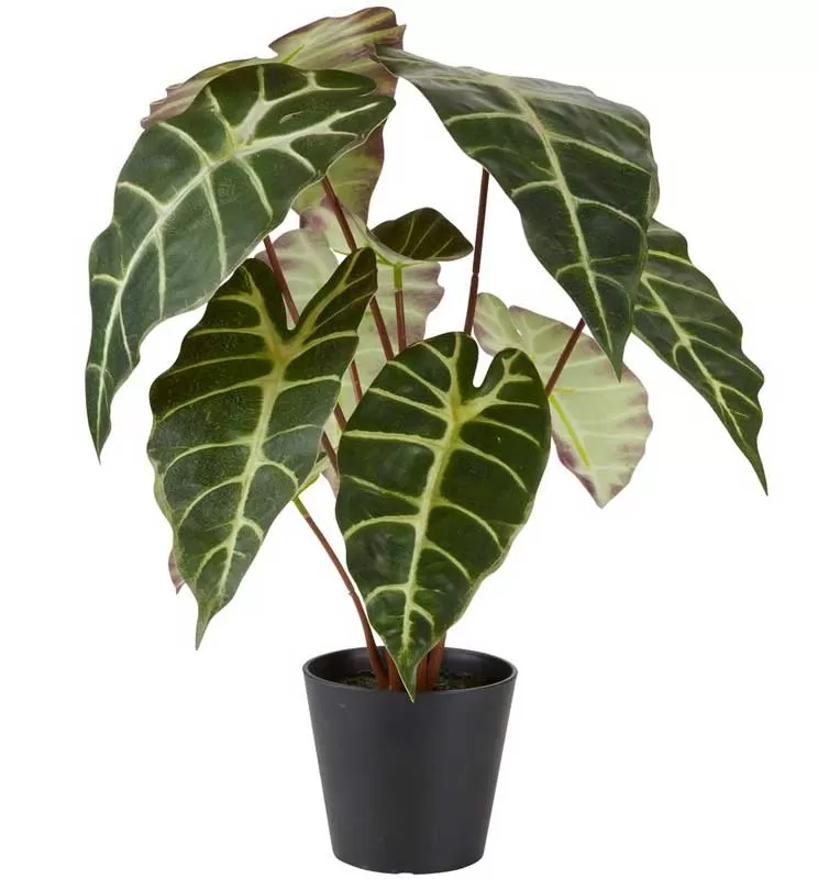 Veštačka biljka Alokasija 42cm
