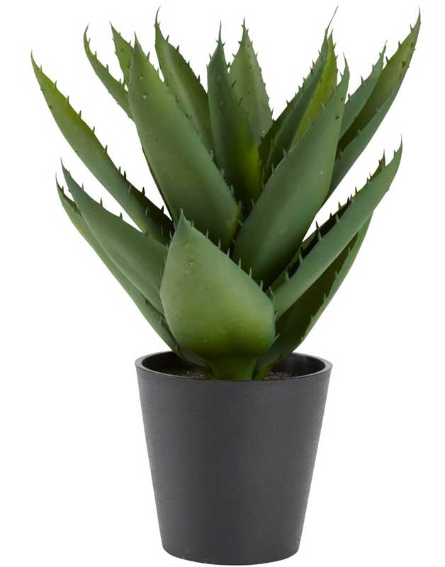 Veštačka biljka Agava V30cm