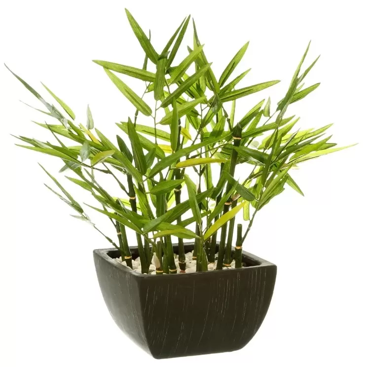 Atmosphera Bambus Sa Saksijom 35 x 33 x 33 cm