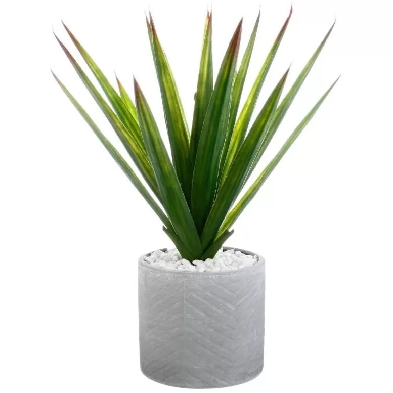 Atmosphera Aloe Vera U Saksiji 44 x 47cm