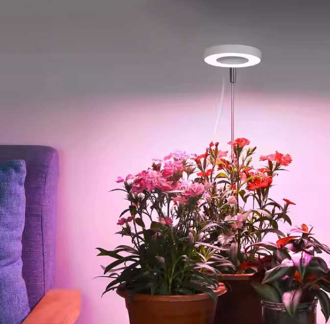 Ubodna LED USB lampa za biljke LB-RGS-01/RBY