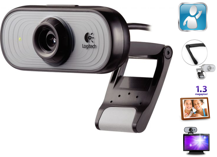 Logitech C100 Web Kamera