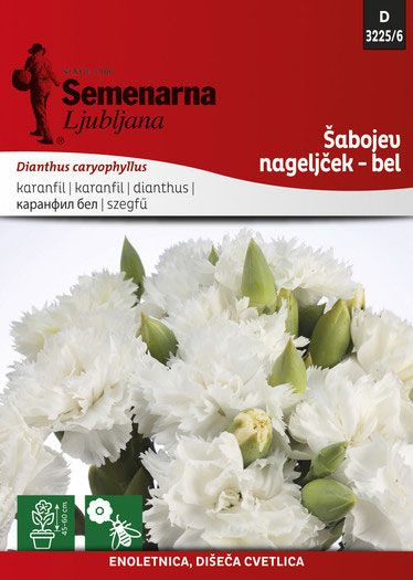 Seme za Karanfil šabo - beli - Dianthus caryophyllus 10 kesica 3225/6 - Image 1