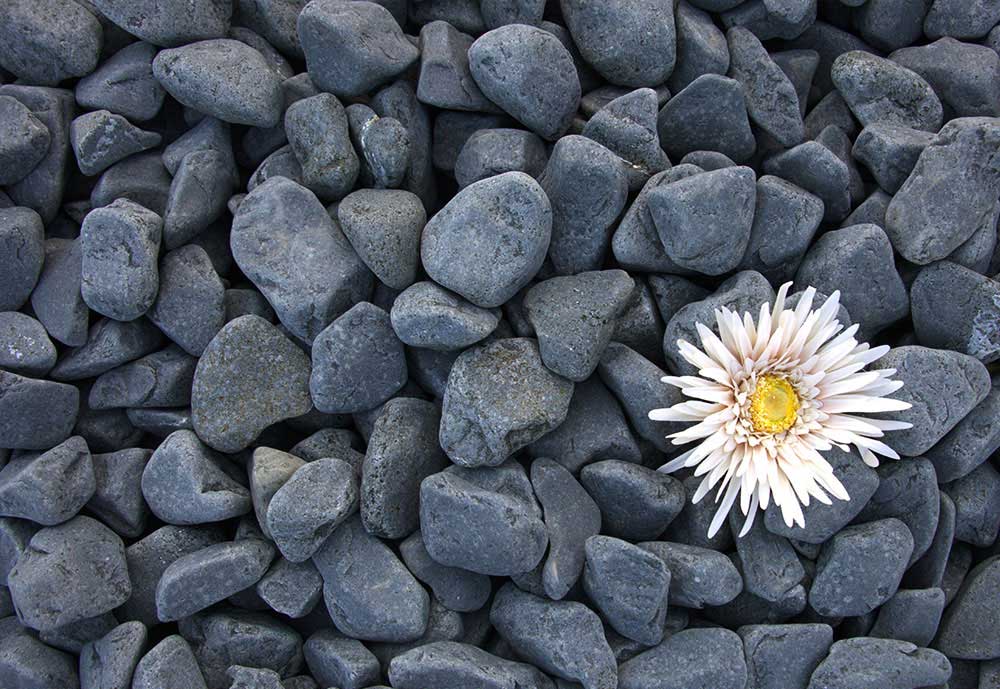 Dekorativni kamen 3-6cm Crni oblutak 25kg