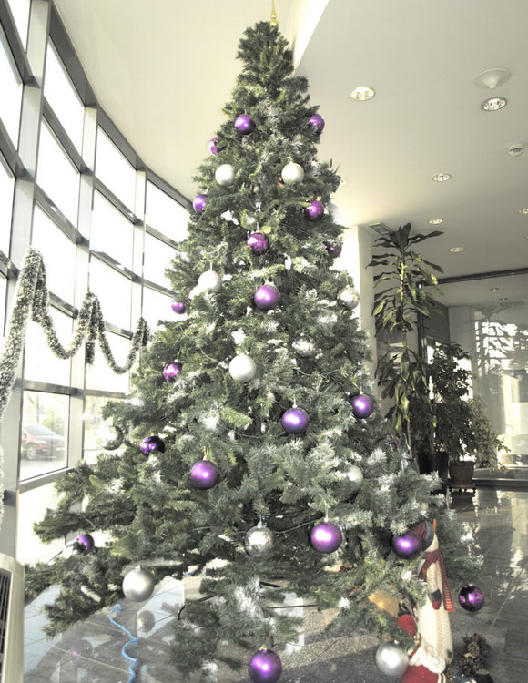 Novogodišnja Jelka Za Velike Prostore 41-435