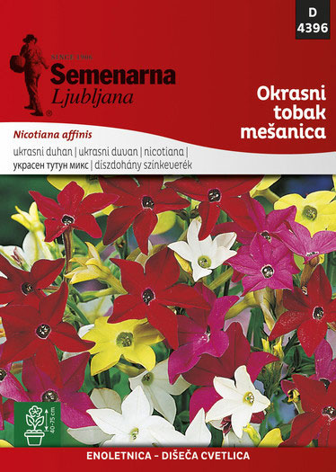 Seme za cveće 10 kesica Ukrasni duvan - mešavina - Nicotiana affinis 4396 - Image 1