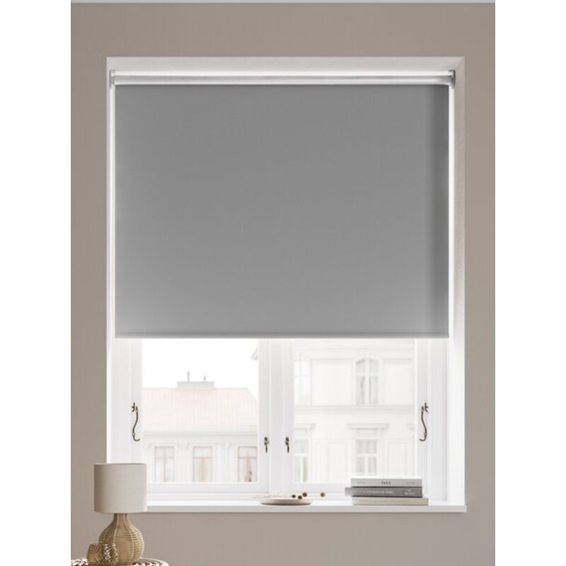Termo roletna za zamračenje FONNO 45x170cm siva