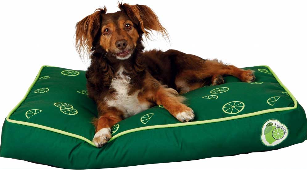 Jastuk za psa Trixie Fresh Fruits Green 75cm 37361