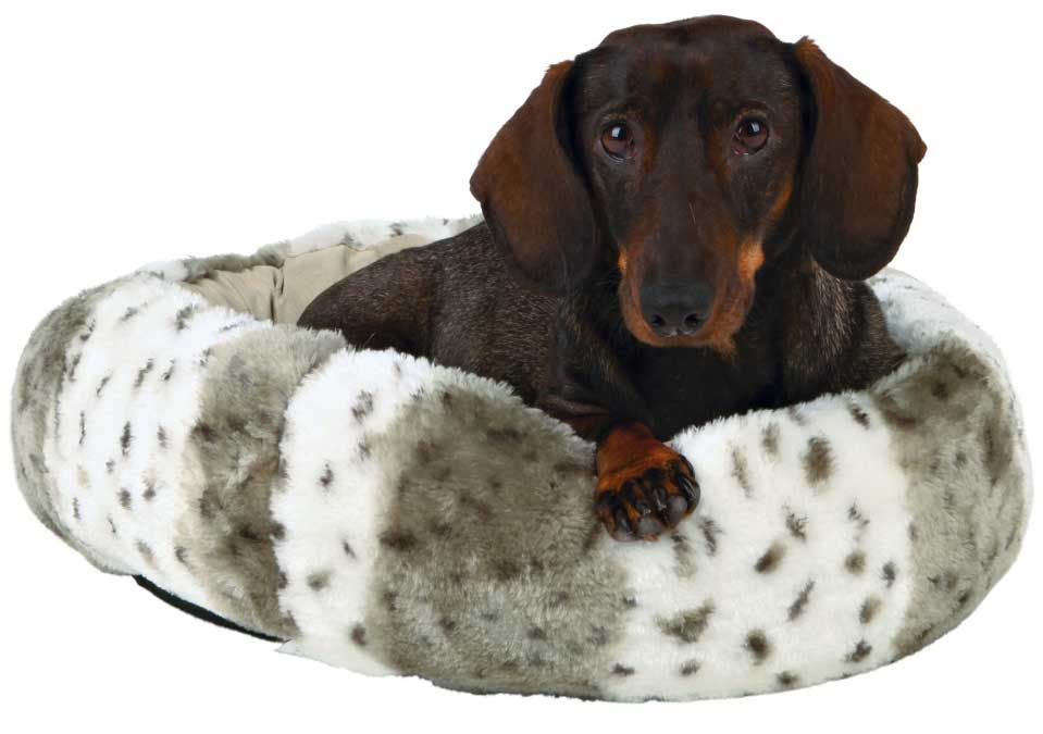 Krevet za male pse ili mačke Trixie Leika 60cm 36972