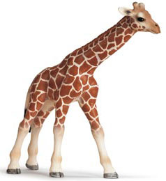 Schleich Divlje Životinje - Žirafa, mladunče 14321