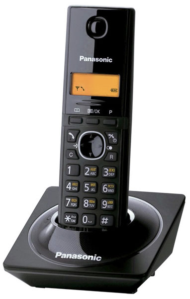 Bežični fiksni telefon Panasonic KX-TG1711FXB