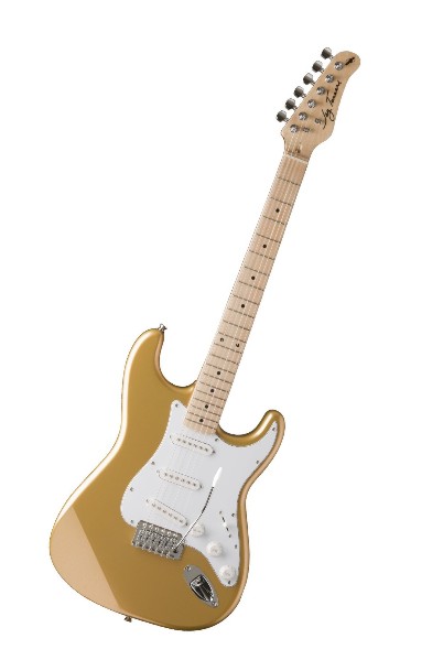 Jay Turser AMS JT 300M SHG električna gitara