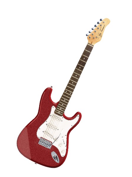 Jay Turser AMS JT 300M MRD električna gitara