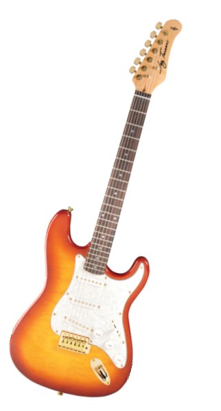 Jay Turser AMS JT 300QMT AMB električna gitara