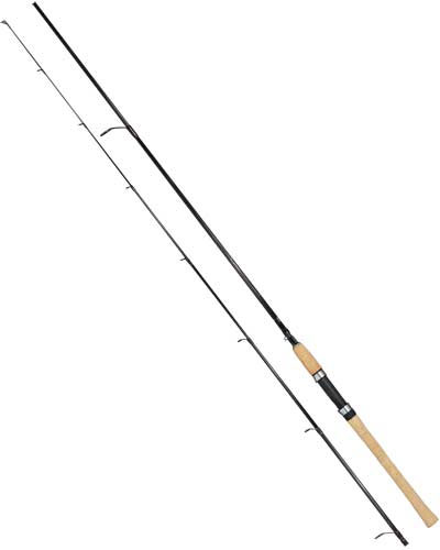 Štap za pecanje Diplomat Top Spin 300 40/120