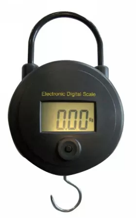 Vaga digitalna 25kg BE61125