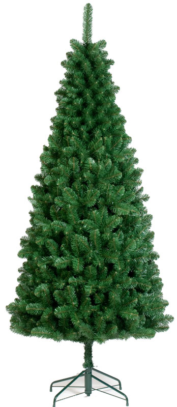 Tree Classics Slim Line Jelka 5 m