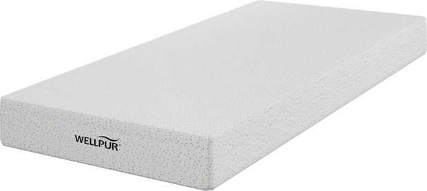 Dušek sa jezgrom od pene WPF30 90×190