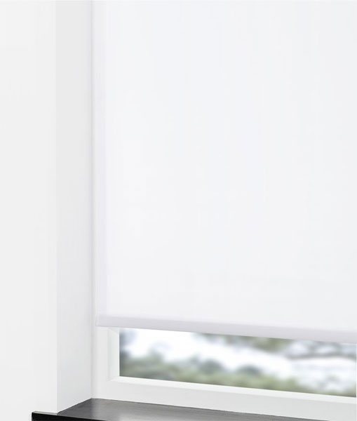 Roletna Hit 80x160cm bela