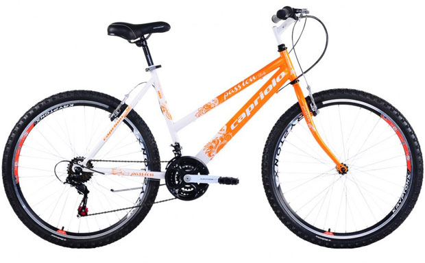 Mountain Bike MTB PASSION L 26/18HT 912382-19