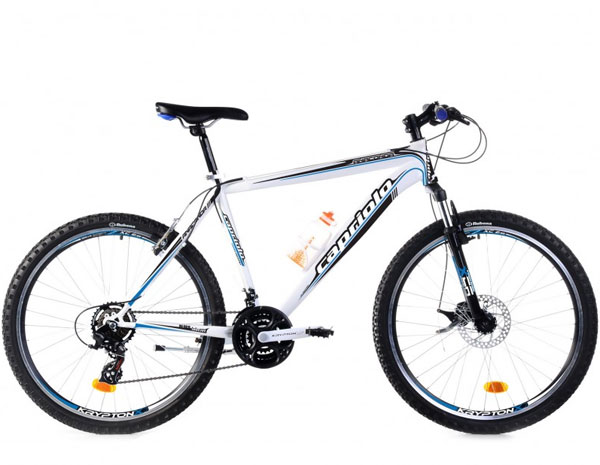Mountain Bike MTB Anaconda 26/21HT bela-crna-plava 905420-20