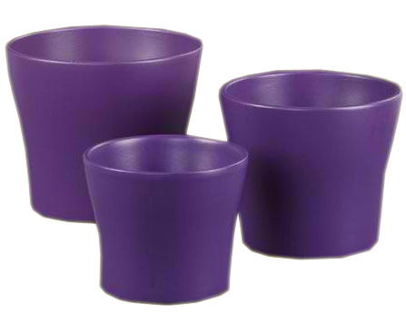 Scheurich saksija 808/13 Deep Purple SH 48543