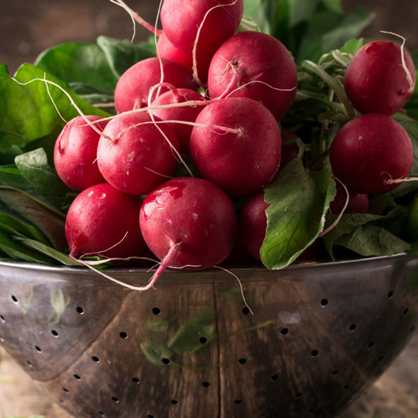 Seme 5 kesica - Rotkvica non plus ultra Villager 008404 - Image 1