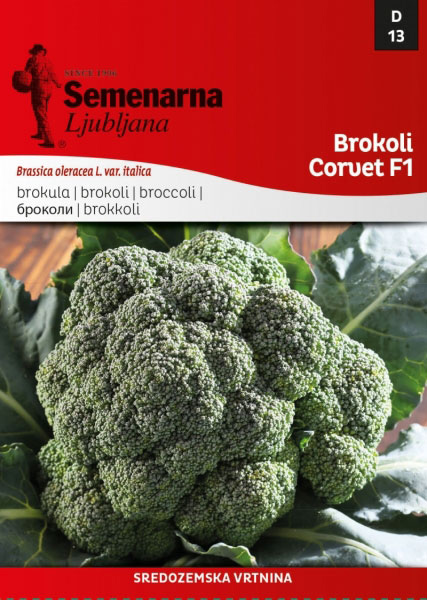 Povrće - seme 10 kesica - Brokoli Korvet F1- Brassica oleracea L. var. italica - 13
