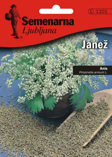 Seme za začin 2 kesice - Anis - Pimpinella anisum Semenarna 1101