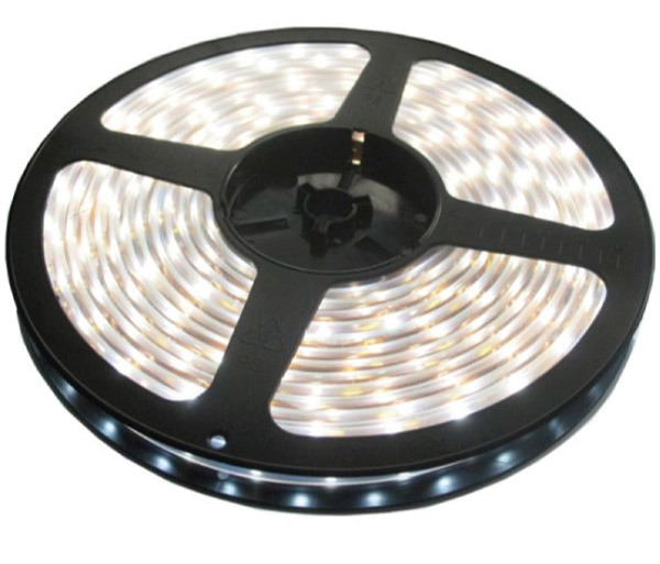 LED traka hladno bela 120 LED/1m LTR3528/120W-12S 5 metara