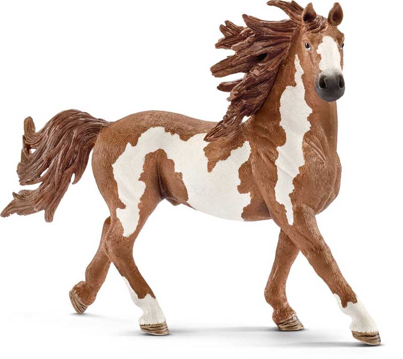 Schleich Domaće životinje - Pinto konj - pastuv 13794