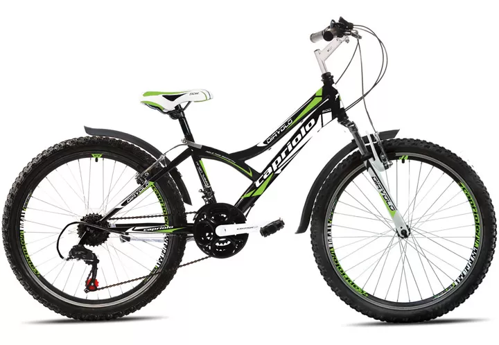 Bicikl Capriolo Diavolo 400 24/18HT crno zelena 915305-13