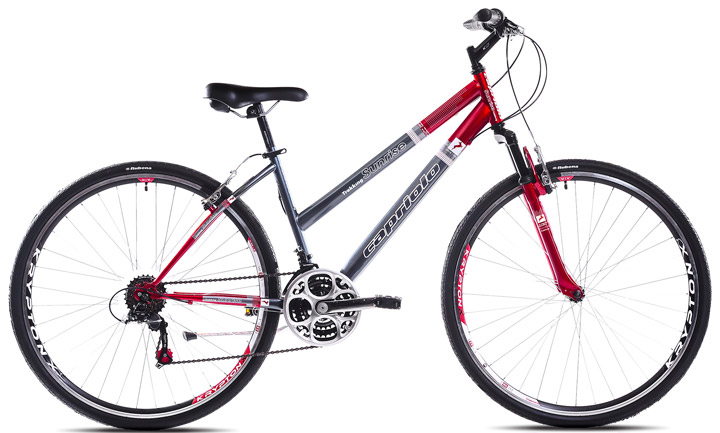 Bicikl Capriolo Sunrise Trekking Lady 28/18HT sivo crvena 913597-19