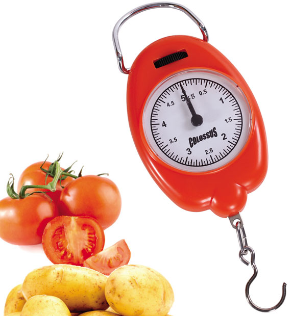 Mehanička kuhinjska vaga CSS-3001