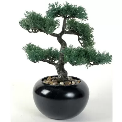 Bonsai u Keramičkoj Saksiji 36cm