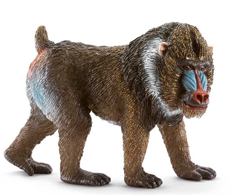 Schleich Divlje Životinje - Majmun mandril, mužjak 14715