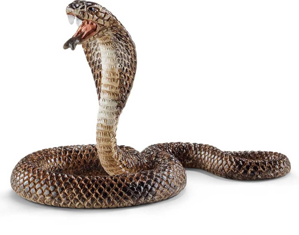 Schleich Divlje Životinje - Kobra 14733