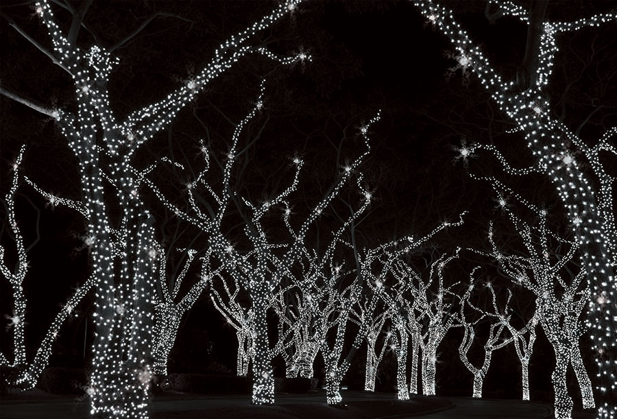 Novogodišnje Lampice LED Za Spoljnu ili Unutrašnju Upotrebu 5 plus 5  m KDK 202