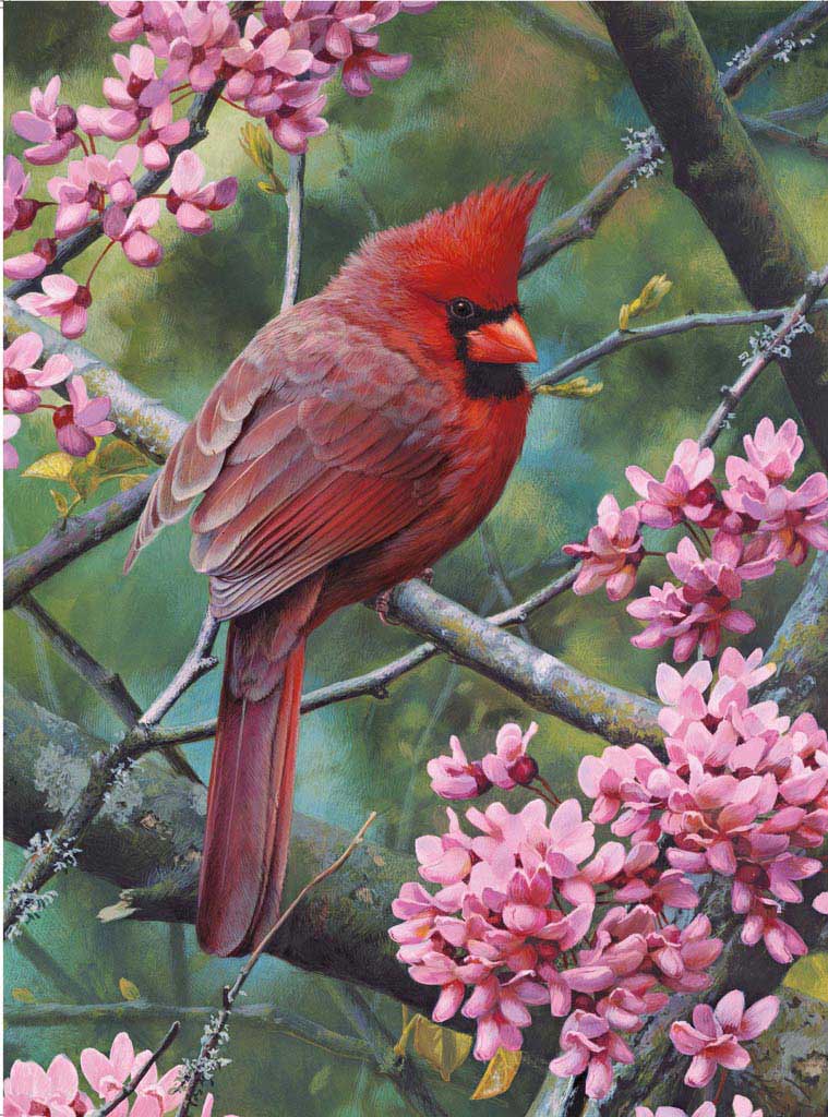 Ravensburger slagalica Springtime Cardinal 500 delova 01-146192